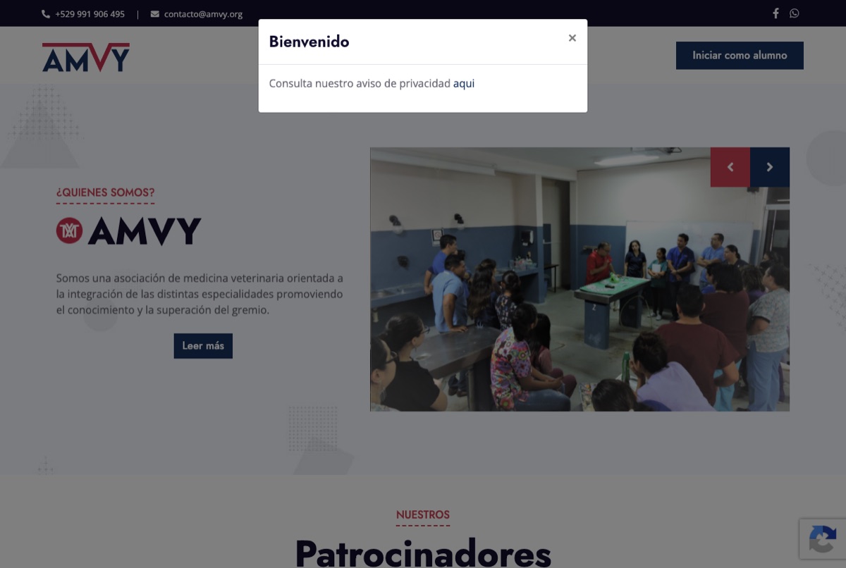 AMVY